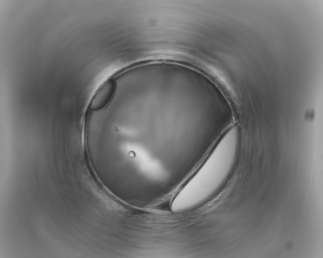 X0000091481275200709061831