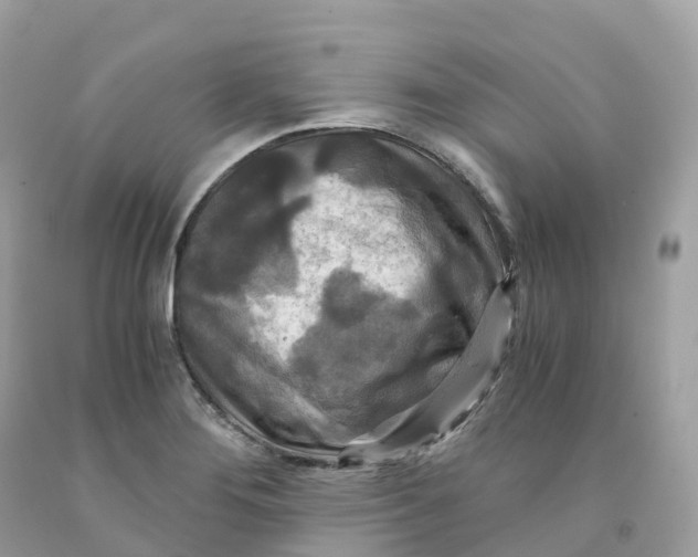 X0000091481276200709061831