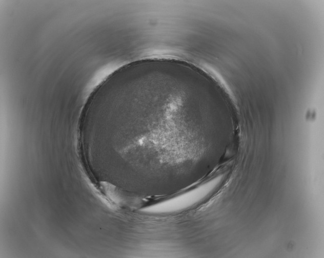 X0000091481277200709061831