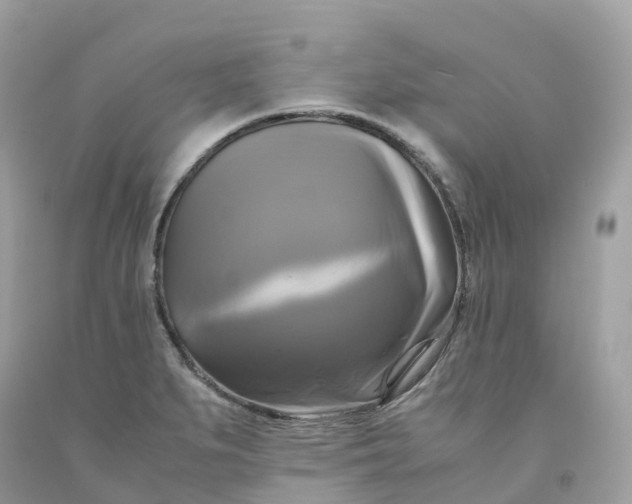 X0000091481279200709061831