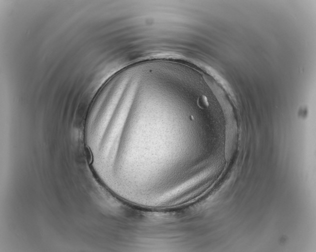 X0000091481281200709061831