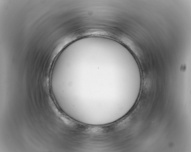 X0000091481282200709061831