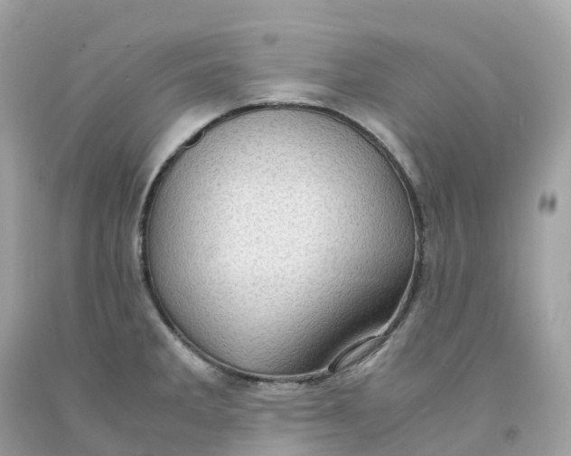 X0000091481285200709061831