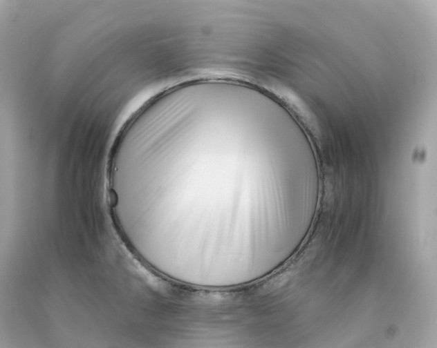 X0000091481286200709061831