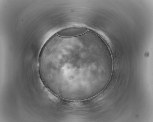 X0000091481287200709061831