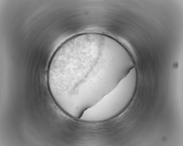 X0000091481288200709061831