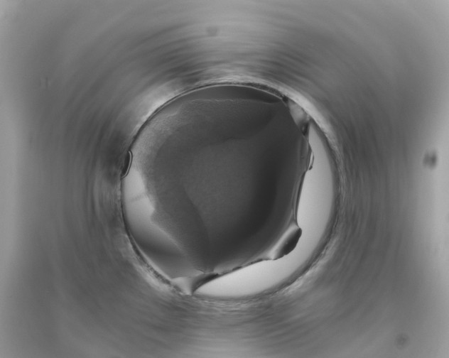 X0000091481289200709061831