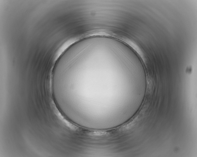 X0000091481290200709061831