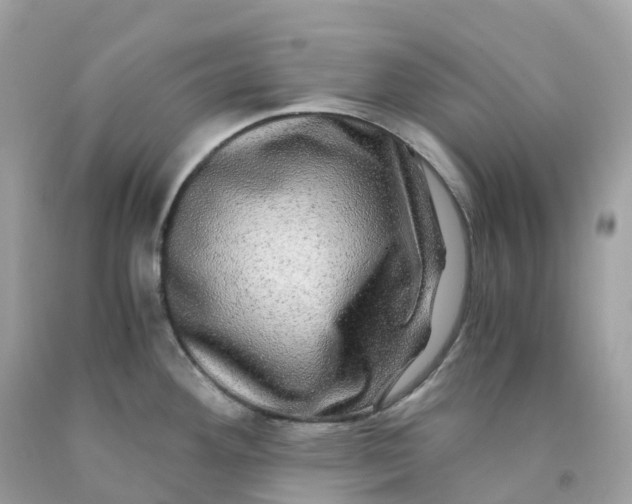 X0000091481292200709061831