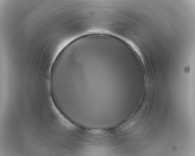 X0000091481295200709061831