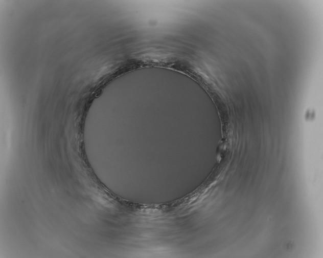 X0000091481297200709061830