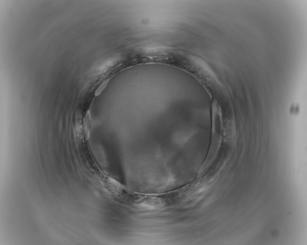 X0000091481298200709061830