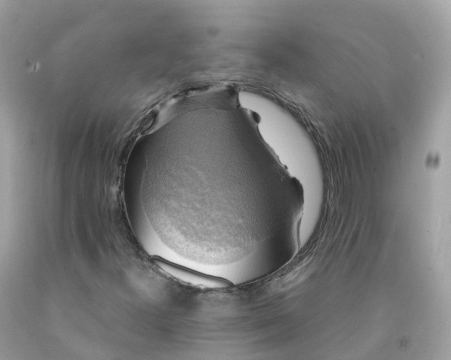 X0000091481300200709061830