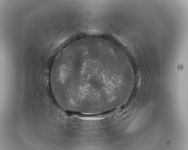 X0000091481301200709061830