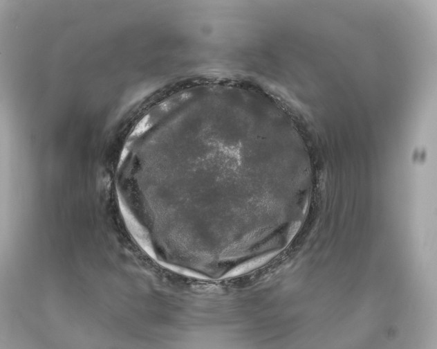 X0000091481302200709061830