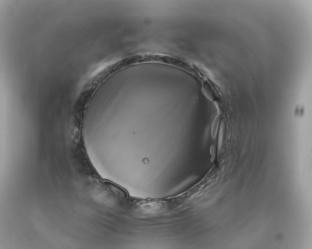 X0000091481303200709061830