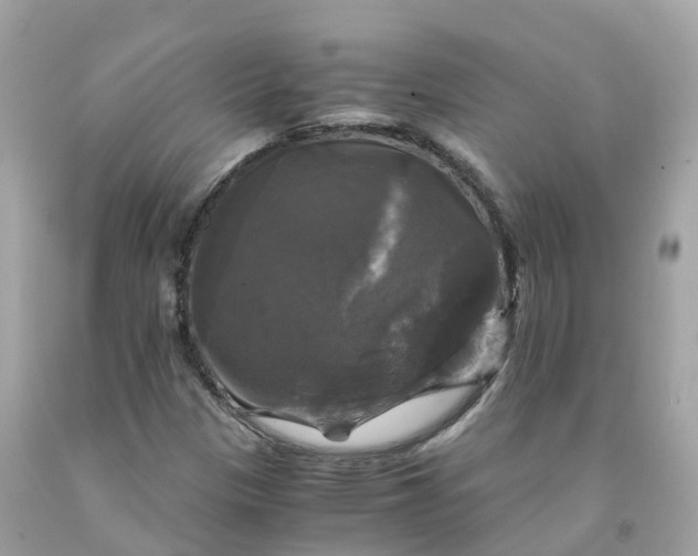 X0000091481305200709061830