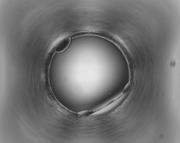 X0000091481307200709061830