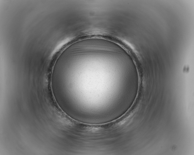 X0000091481309200709061830