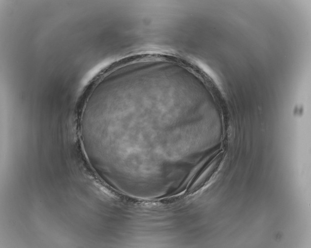 X0000091481310200709061830