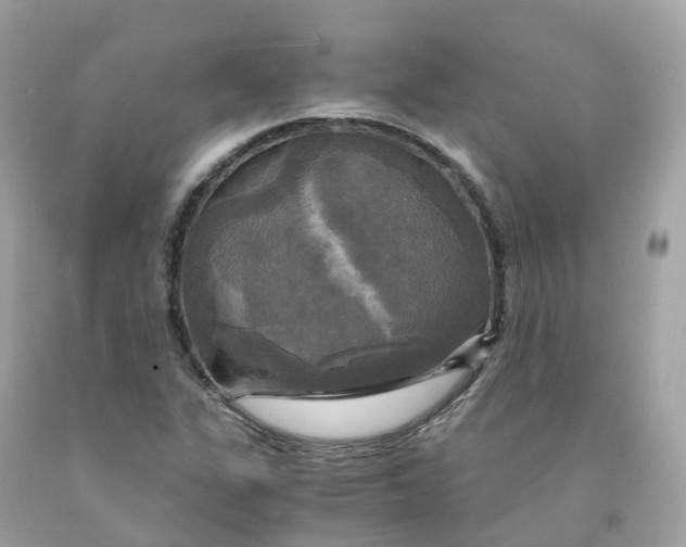 X0000091481311200709061830