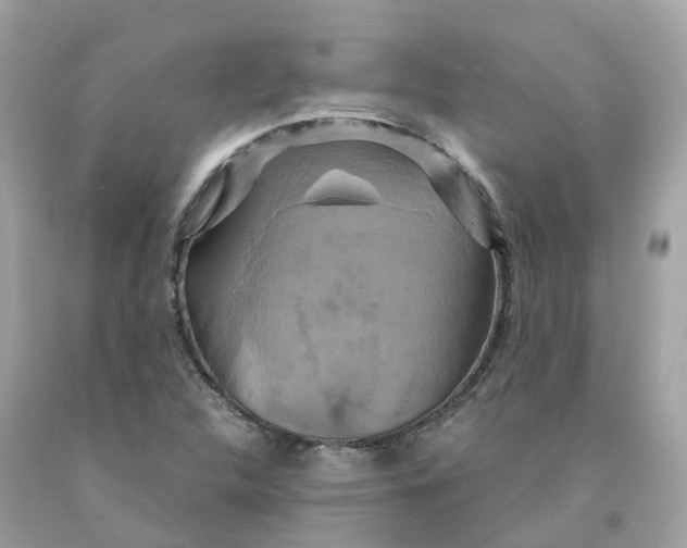 X0000091481312200709061830