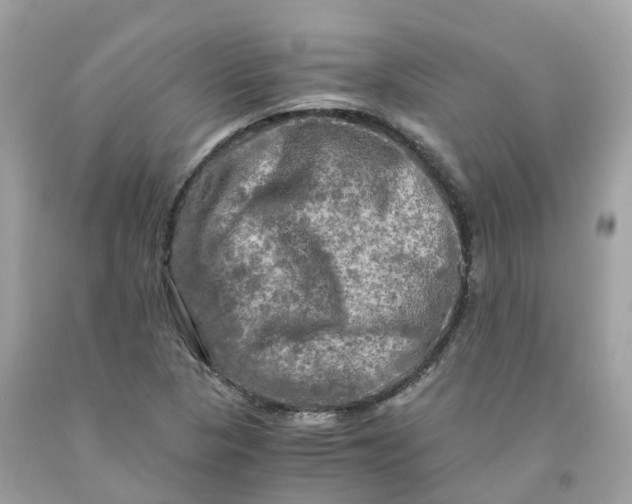 X0000091481313200709061830