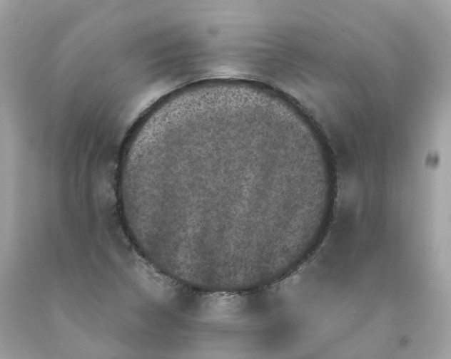 X0000091481314200709061830