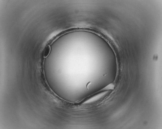 X0000091481315200709061830