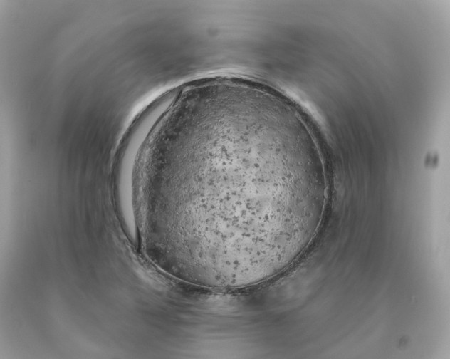 X0000091481316200709061830