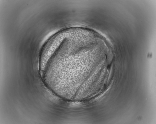 X0000091481317200709061830