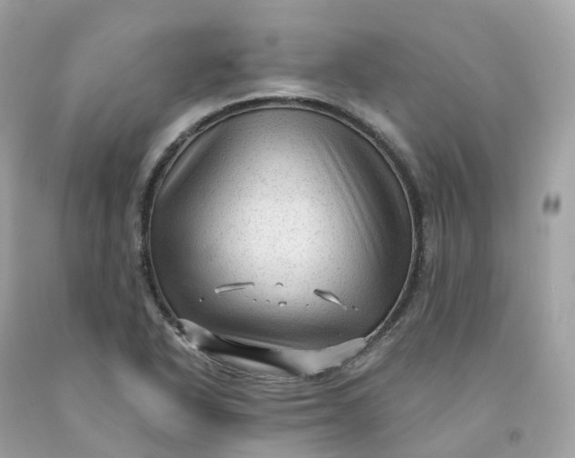 X0000091481318200709061830