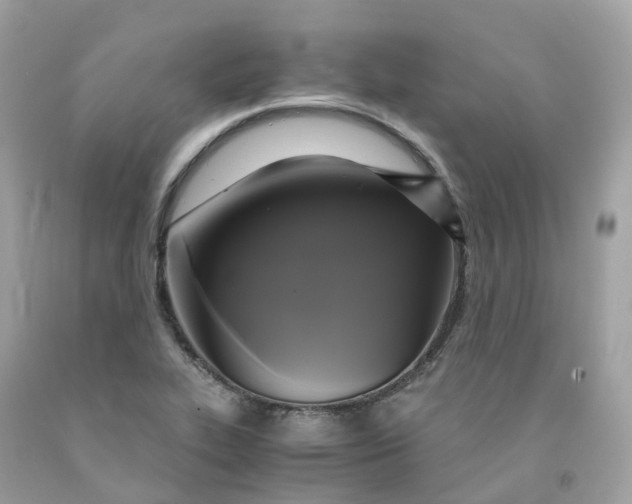 X0000091481319200709061830