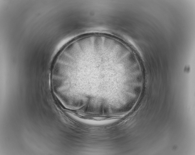 X0000091481320200709061830