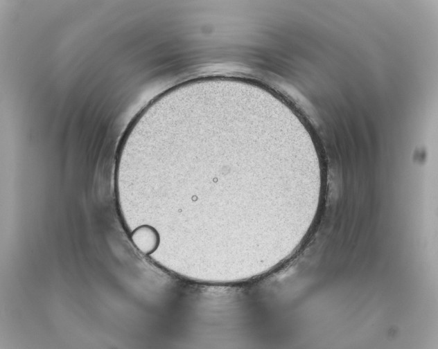 X0000091481322200709061830