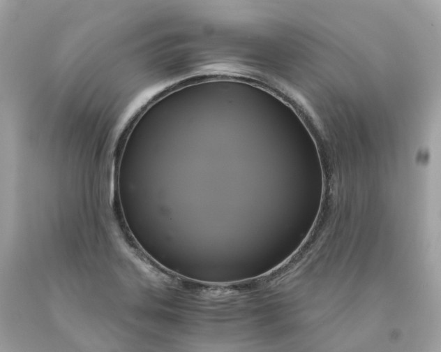 X0000091481323200709061830