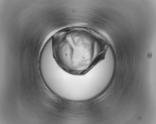 X0000091481324200709061830