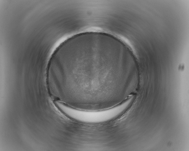 X0000091481326200709061830