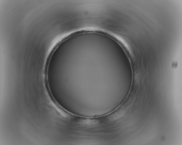 X0000091481327200709061830