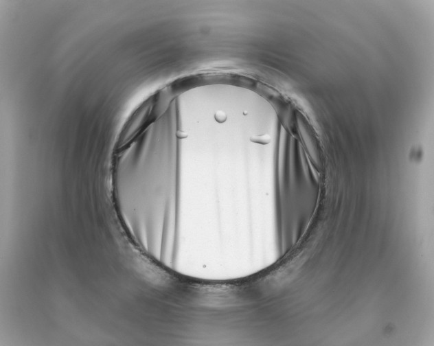 X0000091481328200709061830