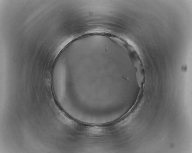 X0000091481329200709061830