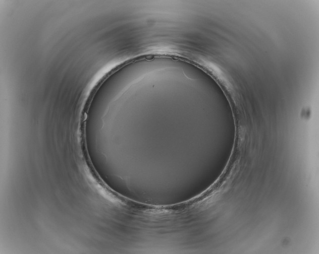 X0000091481331200709061830