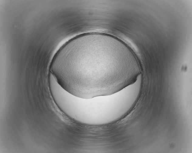 X0000091481332200709061831