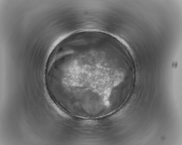 X0000091481333200709061831