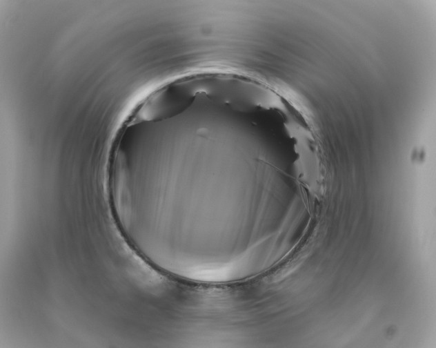 X0000091481334200709061831