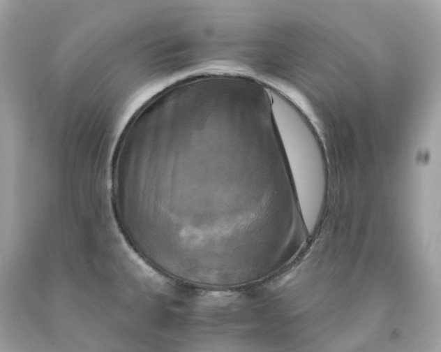 X0000091481335200709061831