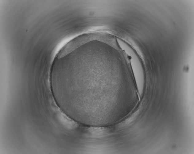 X0000091481336200709061831