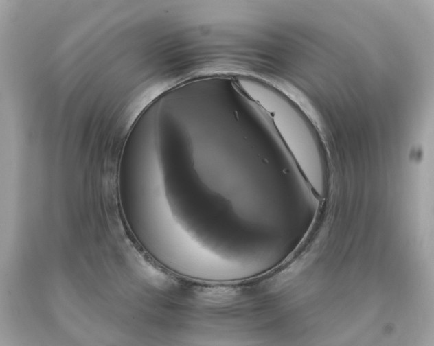 X0000091481337200709061831