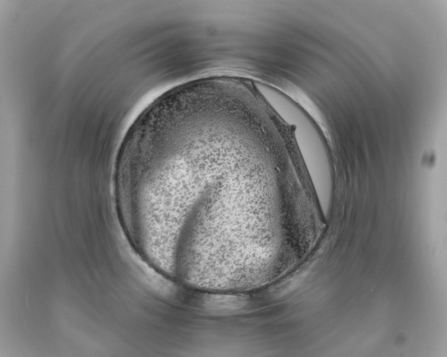 X0000091481339200709061831