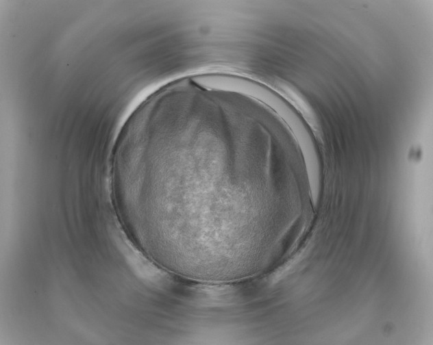 X0000091481340200709061831